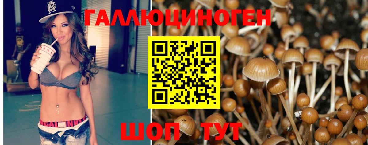 Меф кристаллы  НБОМе  МАРИХУАНА  COCAIN  LSD-25  Унеча  МЕФ  Alpha PVP СК кристаллы  ГАШ  Вход с VPN 