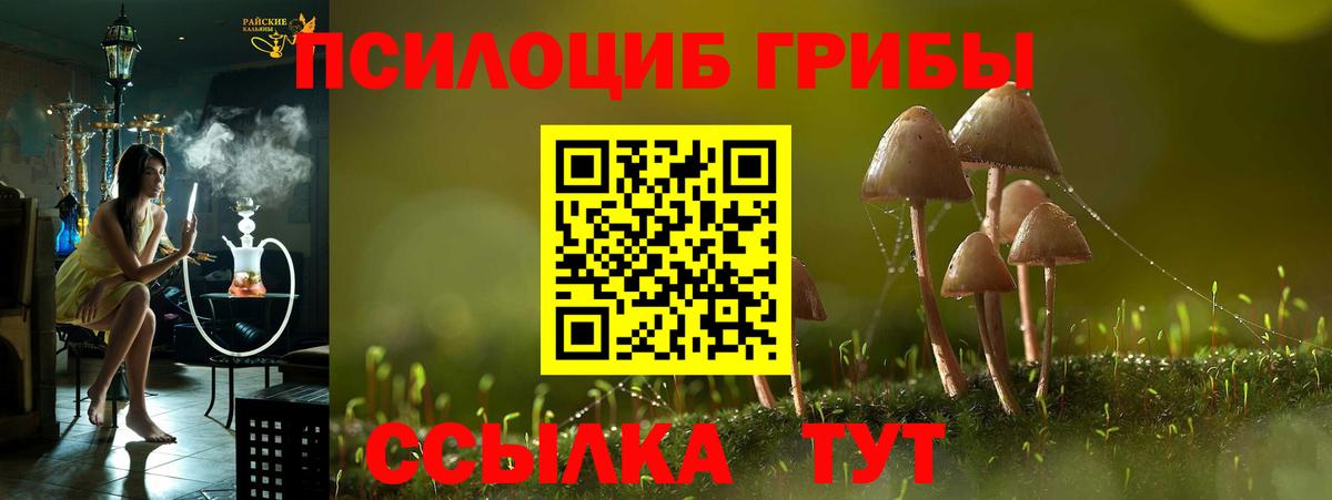 Унеча  Псилоцибиновые грибы MAGIC MUSHROOMS  Вход с VPN 
